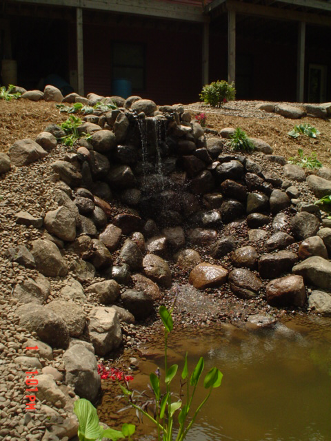 Shoreline Landscaping